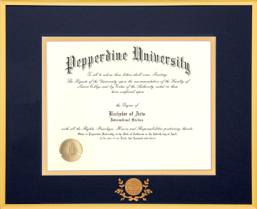 Satin Gold Metal Diploma Frame With Medallion and Laurel Leaf for an 11x14 diploma/degree